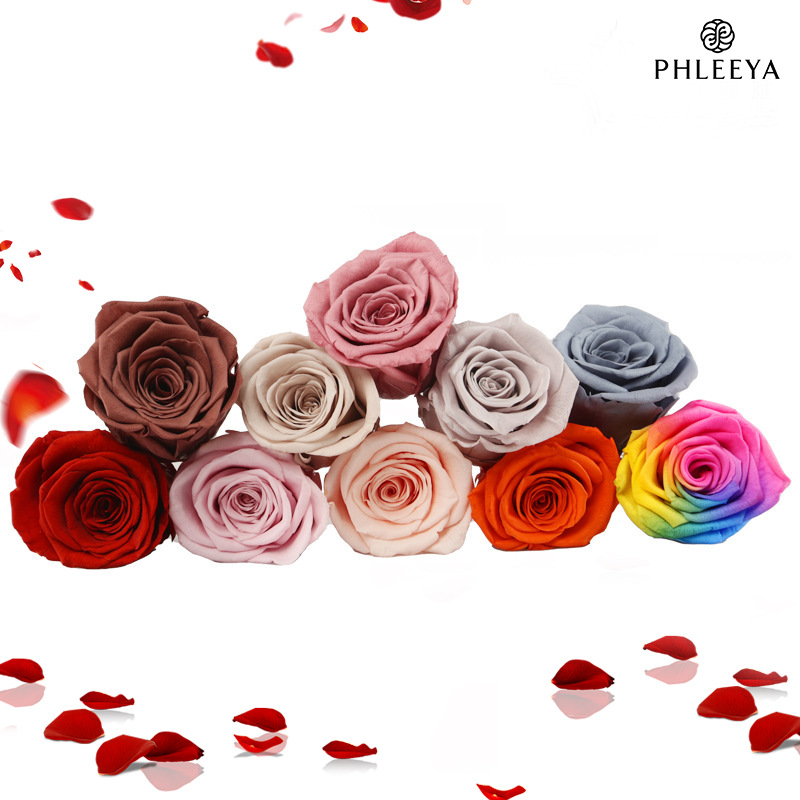6pcs 영원한 장미 꽃 머리, 대형, 5-6cm -  - Wedding Supply Bulk 리뷰 및 가격
